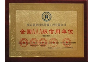 荣誉证书